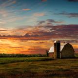 Farm